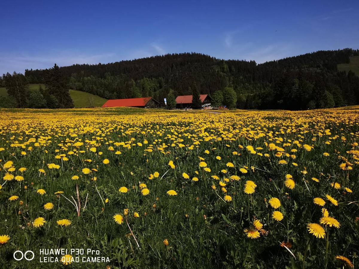 Allgaeuer Ausblick Missen-Wilhams Exterior foto